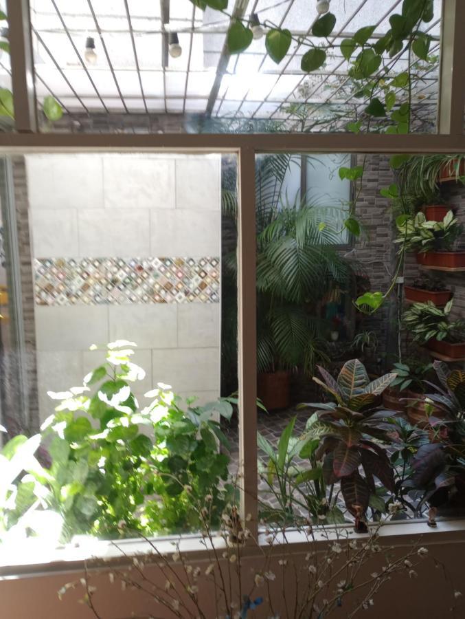 מדיין Noras Homestay Laureles מראה חיצוני תמונה